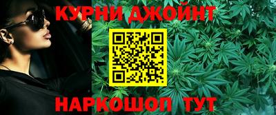 Альфа ПВП Малгобек