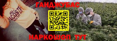 Альфа ПВП Малгобек