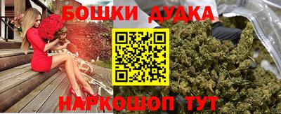 Альфа ПВП Малгобек
